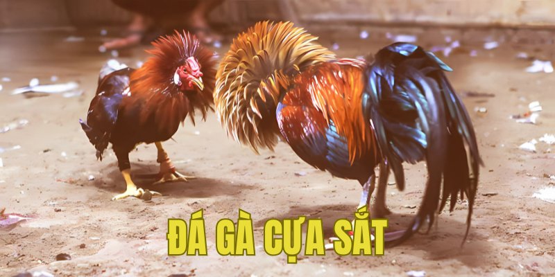 Banner www.yensaohoanggiaphuc.com