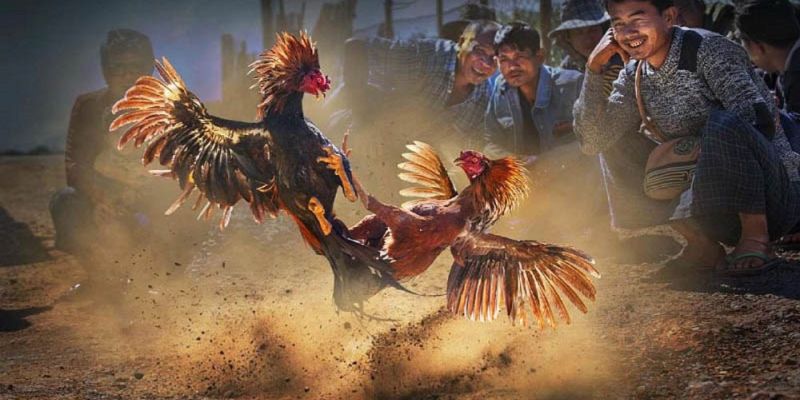 Banner www.yensaohoanggiaphuc.com